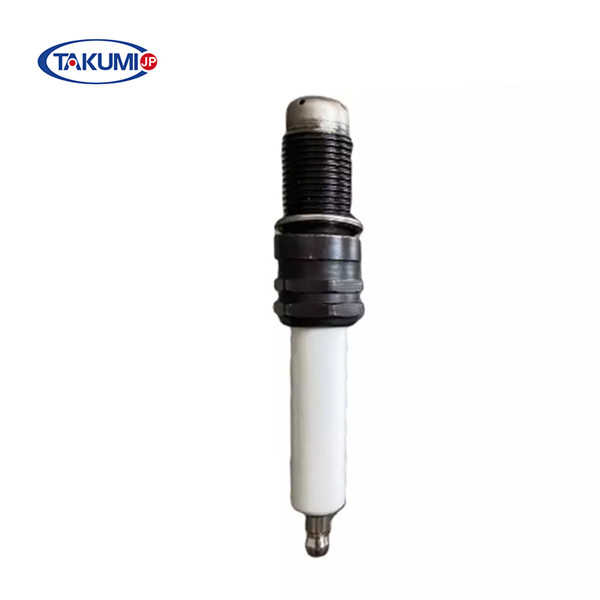 The Function of an Oxygen Sensor
